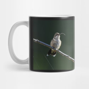 The Tongue Flicker of a Ruby Throated Hummingbird Mug